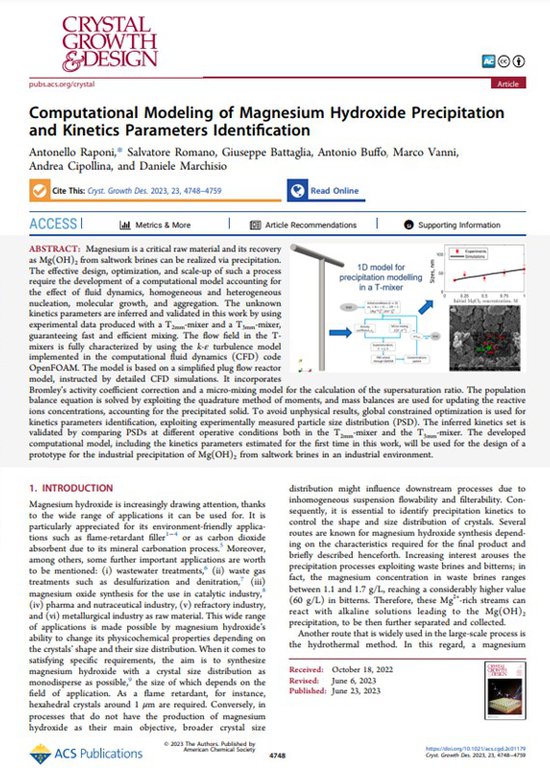 Computational Modeling of Magnesium Hydroxide Precipitation and Kinetics Parameters Identification