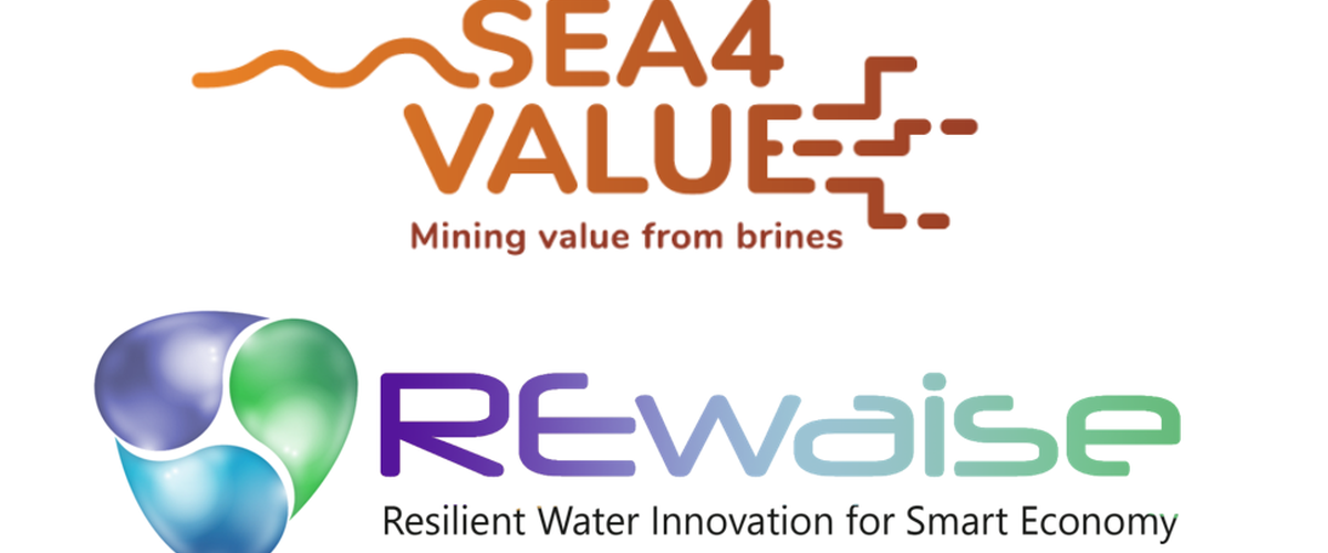 Collaboration with SEA4value and REWAISE